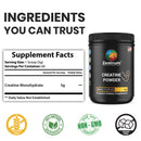 Premium Creatine Monohydrate Powder