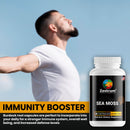 Organic Irish Sea Moss